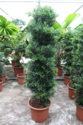 7047552672014