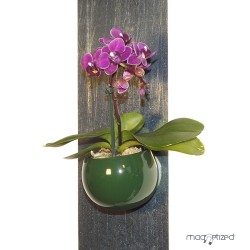 cache-pot-magnetique-o8cm-vert-anglais