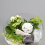 Флорариум красивые мелочи