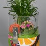 Композиция Mojito