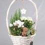 Корзинка цветов