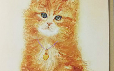 Котик