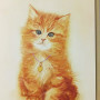 Котик